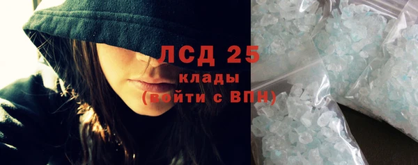 ГАЛЛЮЦИНОГЕННЫЕ ГРИБЫ Аркадак