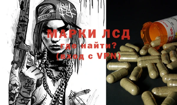 ГАЛЛЮЦИНОГЕННЫЕ ГРИБЫ Аркадак