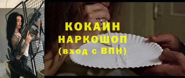 ГАЛЛЮЦИНОГЕННЫЕ ГРИБЫ Аркадак
