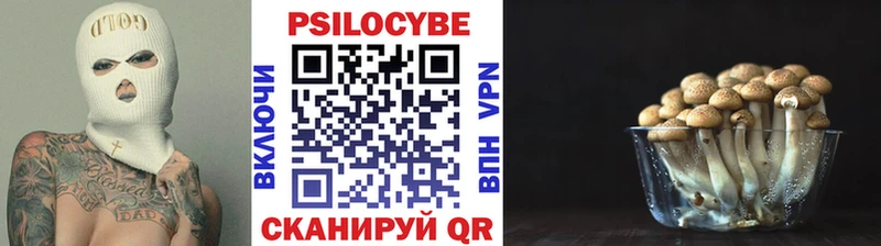где купить наркотик  Ишимбай  OMG зеркало  Галлюциногенные грибы ЛСД 